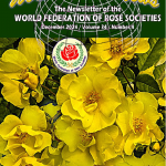 World Rose News December 2024.